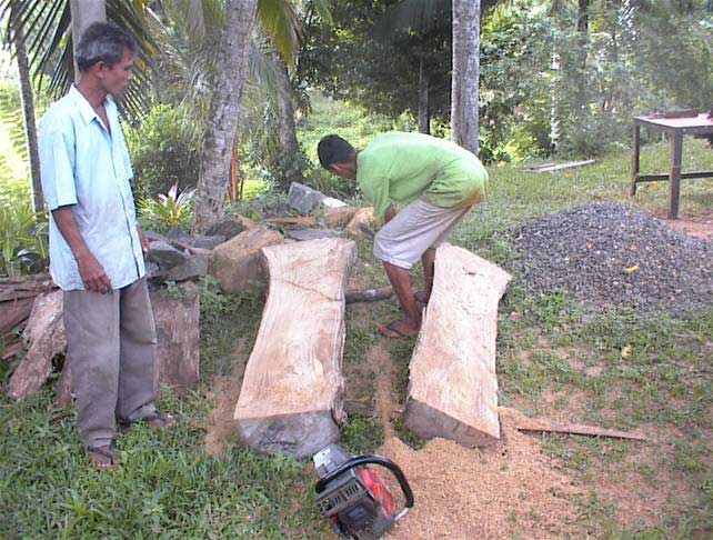 Chainsaw