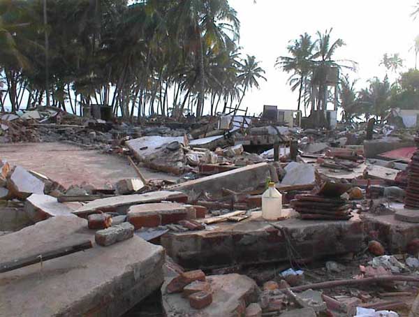 Tsunami