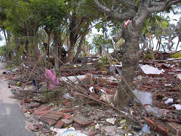 Tsunami
