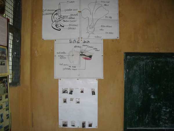 School